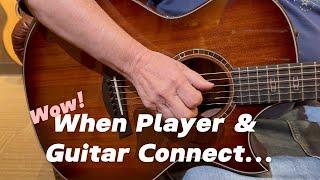 WE STOPPED!  Guitar Store Tour ** Palen Music ** Taylor, McPherson, Gibson, Breedlove, Martin +++