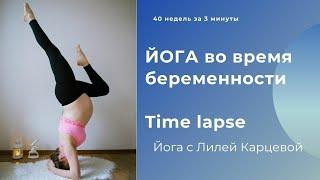 Time lapse of pregnancy 14 - 40 weeks