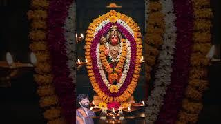 joy Bajrang Bali #followers #highlights #trending #bajrangbali