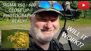 Sigma 150-600mm C | How versatile is this lens? | Nature & Bird photography | Canon 90D