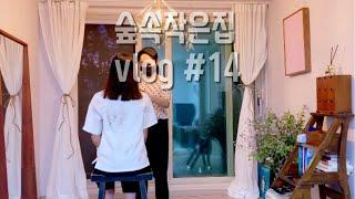 숲속작은집 vlog 14 시골 집순이 서울 상경 머리 자르고 망원시장, 망리단길 맛집 투어 브이로그