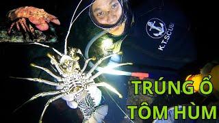 Win High Value Lobster Nests When Snorkeling on Truong Sa Islands