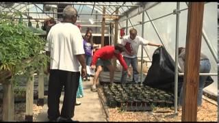 Trident Technical College Horticulture
