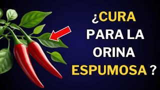 Cura tu Proteinuria: Los 10 Mejores SUPERALIMENTOS para Riñones SALUDABLES  | Nutrinessmed