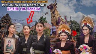 PUNCAK ACARA PELEBON IDA COKORDA RAI DHARMAWATI || PURI AGUNG UBUD BERGETAR || ADA COK RAHASIA