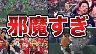 【場内唖然】ファンによる守備妨害で試合を中止させた最悪の観客たちがヤバすぎる【プロ野球】