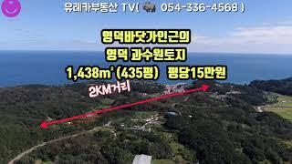 @유레카부동산TV#영덕부동산#영덕땅#영덕토지#영덕바닷가인근의 영덕과수원토지