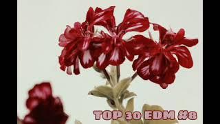 SUPER TOP 30 EDM #8