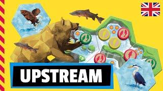 UPSTREAM Board game - Review / Tutorial  / How to play (English)