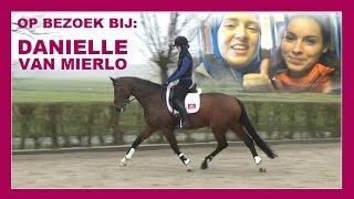 Dressuur bij Danielle van Mierlo | Jouw Paard Mijn Paard #6 | snuitable