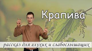 "Крапива" -  христианский рассказ для глухих и слабослышащих, журнал Светильник № 2 2020