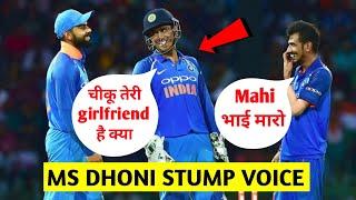 Ms Dhoni Voice Behind The Stumps Mic | Ms dhoni moments | rapid info