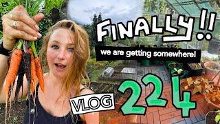 A full day on the Allotment. Planting out, Potting up and a Garlic FAIL. Ep 224 || Plot 37