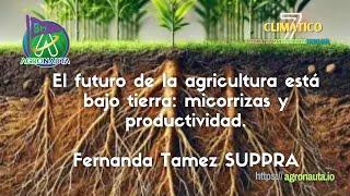 El futuro de la agricultura está bajo tierra: micorrizas y producción.  Fernanda Tamez SUPPRA