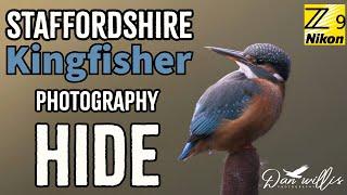 Staffordshire Kingfisher Photography Hide