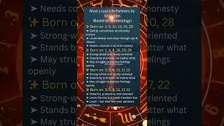 Most Loyal Life Partners by Birthdate | Numerology Secrets Revealed!#zodiactalks