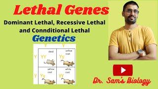 Lethal Genes (Lethal alleles)