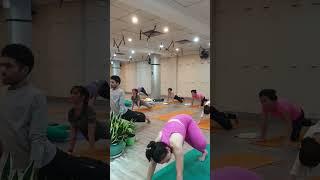 Power Yoga class #yogaclass #poweryoga #manuforyoga #yoga #yogasequence