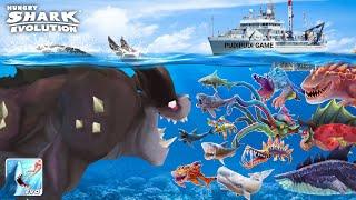 GIANT BEHELLMOTH (BEHEMOTH SHARK) KAIJU VS HUNGRY SHARK EVOLUTION GAMEPLAY - BIG SHARK MONSTER SEA