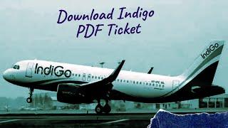 Download Indigo PDF Ticket | Your Financial Advisor|