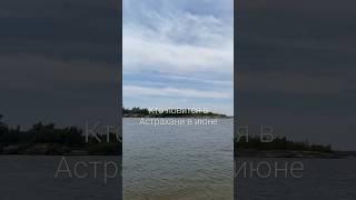 Кто ловится в Астрахани в июне #car #fishing#carping #рыбалка #карп#automobile #nature #улов#рыбалка