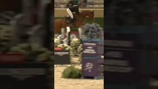 That horse has SCOPE #music #song #horse #pony #fyp #shorts #chestnut #jumping #viral #showjumping