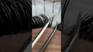 The Wet Eyelash Effect using Lashmer fans