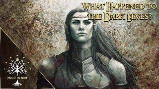 What Happened to the Dark Elves of Middle-earth?