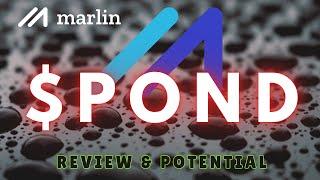 Marlin $POND: Will It Surge? | Pond Coin Review & Price Prediction