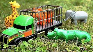 Zoo Animal Toys in Bouncy Transport Truck for Kids