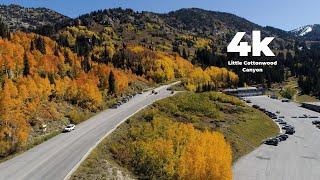 Fall leaves in Utah | Little Cottonwood Canyon | 4k Drone Footage