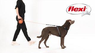 How to use a flexi® Leash - The only original retractable leash 2024