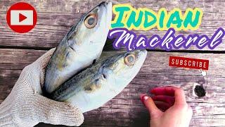 Indian mackerel or Ikan Kembong