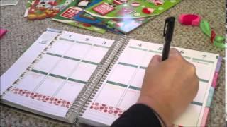 ERIN CONDREN LIFE PLANNER: WEEKLY PLANNING SESSION