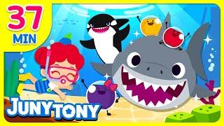 Let's Go To The Sea! | Sea Animal, Shark Song + More Kids Songs | JunyTony