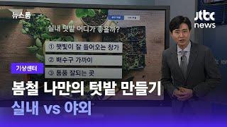 [기상센터] 봄철 나만의 텃밭 만들기…실내 vs 야외 / JTBC 뉴스룸