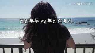 부산갈매기&연안부두