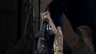 HORSE & SOLDIER PLAY  | Horse Guards, Royal guard, Kings Guard, Horse, London, 2024