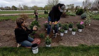 Planting Pretty Pink Perennials! 🩷 // Garden Answer