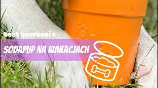 Nowości z SodaPup na wyjeździe