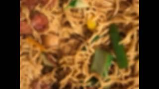 How to make surinaamse chinees tjauwmin  (chow mein) sosolobi