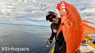 PAPUA SURGANYA PARA PEMANCING !! SPOT MANCING JIGGING TERBAIK, STRIKE RUBY BABON LAGI !!