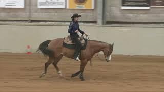 NRHA Oceania 2024 - 4yo Non Pro Futurity L2 Champion