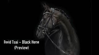 David Tsai - Black Horse (Preview)