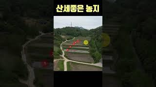 #충주토지 현장답사 덕련리 산세좋은 농림지역 "답" #부동산 #싼땅