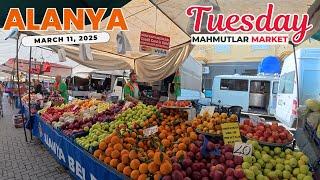 Alanya Mahmutlar Tuesday Market | March 11, 2025 [4K HD/60 fps]