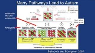 Targeted Treatments in Fragile X and Autism