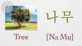 【Korean Vocab 101】How to pronounce "Tree" (나무) in Korean  | Koreanescent