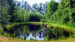 HOW TO BUILD ALL NATURAL POND WITHOUT LINER |LOW COST+MAINTENANCE |BIG BACK YARD WATER LAKE HABITAT