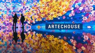 Artechouse DC - 'In Peak Bloom'